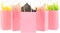 Small Coral Paper Bag Party Favours - 6x4.5x2.5 inch for Baby Shower, Gender Reveal - Recycled, Pack of 24